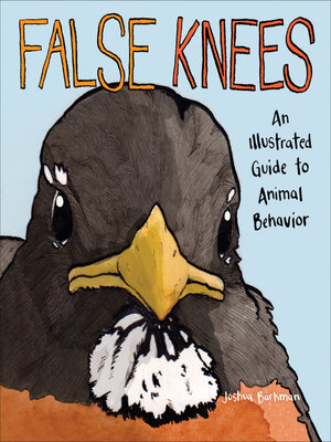 cover image of False Knees